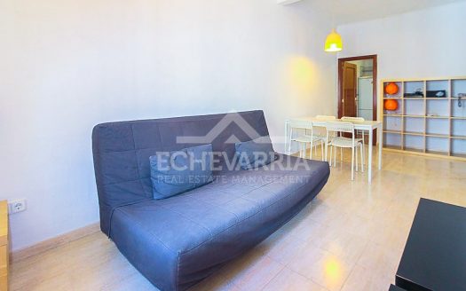 Piso en alquiler en Madrid Centro